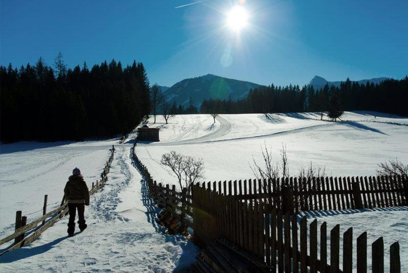 Hotel Alpengasthof Fichtenheim Ramsau am Dachstein Zewnętrze zdjęcie